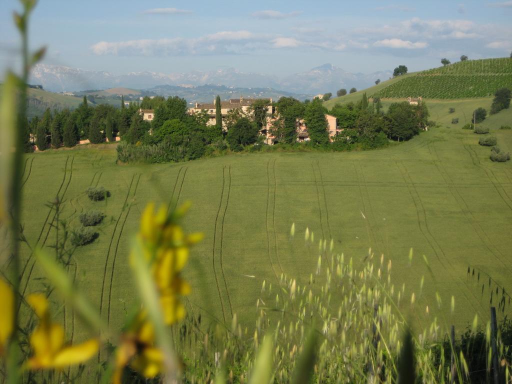 Agriturismo La Campana Villa Montefiore dellʼAso Екстериор снимка