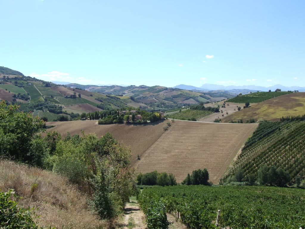 Agriturismo La Campana Villa Montefiore dellʼAso Екстериор снимка