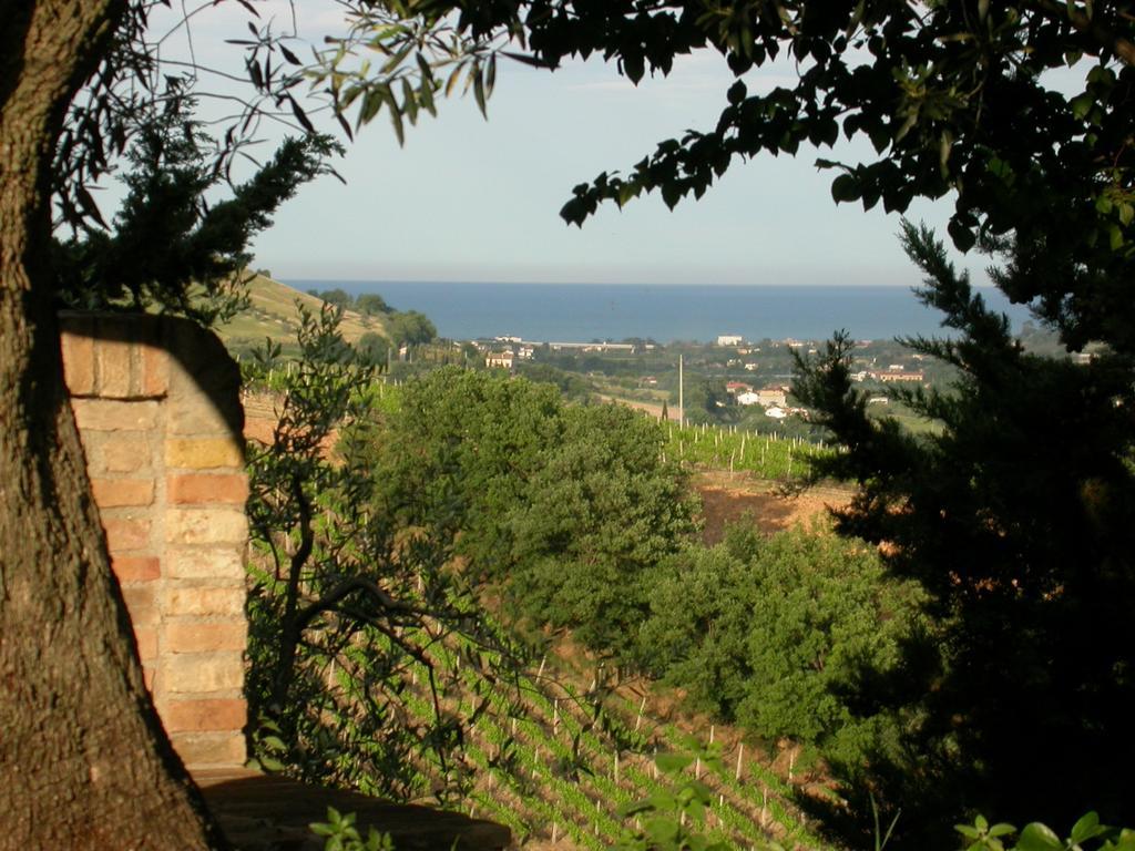 Agriturismo La Campana Villa Montefiore dellʼAso Екстериор снимка